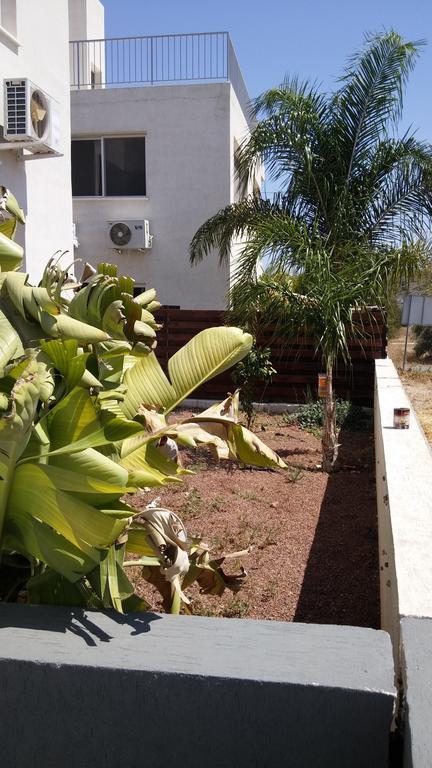 Palms Resort Apartments Alethriko ห้อง รูปภาพ